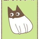 猫ブラックホール