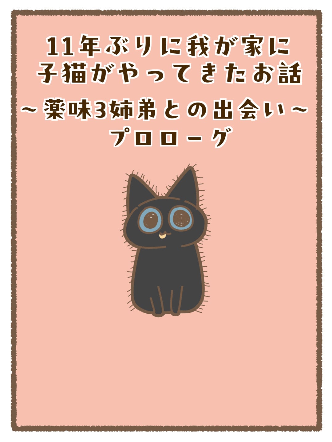 11年ぶりに我が家に子猫がやってきたお話〜薬味3姉弟との出会い〜プロローグ