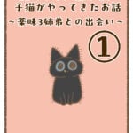 11年ぶりに我が家に子猫がやってきたお話〜薬味3姉弟との出会い〜①