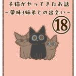 11年ぶりに我が家に子猫がやってきたお話〜薬味3姉弟との出会い〜⑱