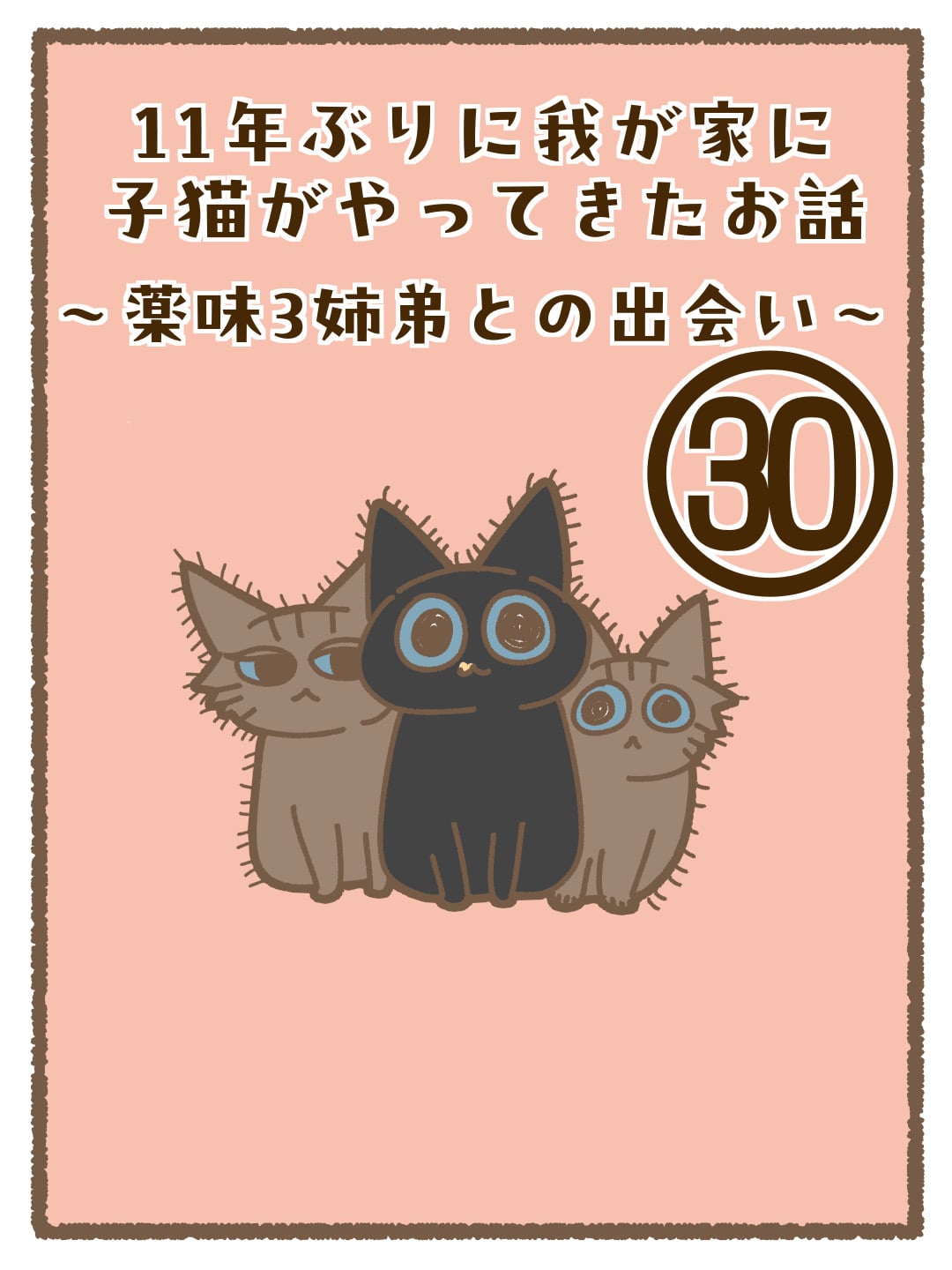 11年ぶりに我が家に子猫がやってきたお話〜薬味3姉弟との出会い〜㉚