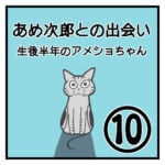 あめ次郎との出会い〜生後半年のアメショちゃん〜⑩