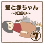 猫と赤ちゃん〜妊娠中〜⑦