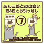 あん三郎との出会い〜猫3匹とお引越し〜⑦