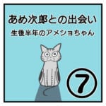 あめ次郎との出会い〜生後半年のアメショちゃん〜⑦