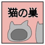 猫の巣