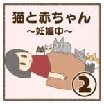 猫と赤ちゃん〜妊娠中〜②