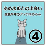 あめ次郎との出会い〜生後半年のアメショちゃん〜④