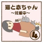 猫と赤ちゃん〜妊娠中〜④