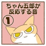 ちゃん五郎が反応する音①