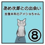 あめ次郎との出会い〜生後半年のアメショちゃん〜⑧