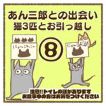 あん三郎との出会い〜猫3匹とお引越し〜⑧