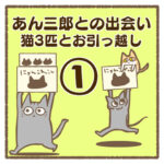 あん三郎との出会い〜猫3匹とお引越し〜①