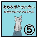 あめ次郎との出会い〜生後半年のアメショちゃん〜⑤