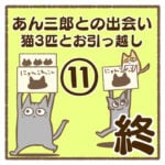 あん三郎との出会い〜猫3匹とお引越し〜⑪終