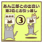 あん三郎との出会い〜猫3匹とお引越し〜③
