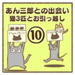 あん三郎との出会い〜猫3匹とお引越し〜⑩