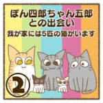 ぽん四郎ちゃん五郎との出会い〜我が家には5匹の猫がいます〜②