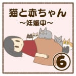 猫と赤ちゃん〜妊娠中〜⑥