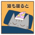 猫も寝ると