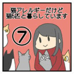 猫アレルギーだけど猫5匹と暮らしています⑦